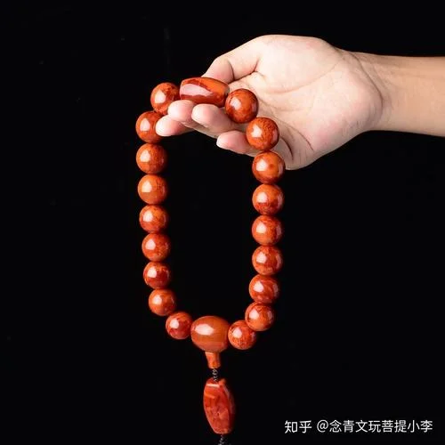佛珠生菇讲述了什么道理_1
