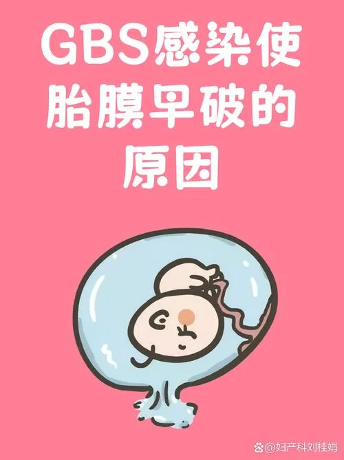 包羊水的膜叫什么_1