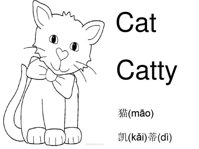 小猫咪英文叫什么_2