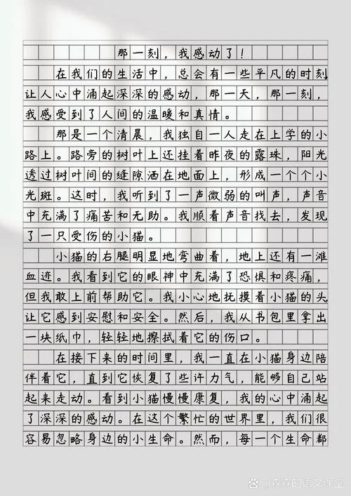 生命的感悟作文开头_1