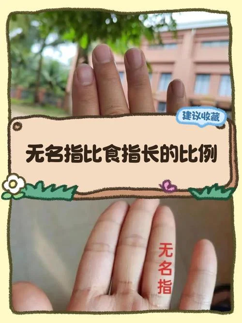 无名指代表什么意思_1