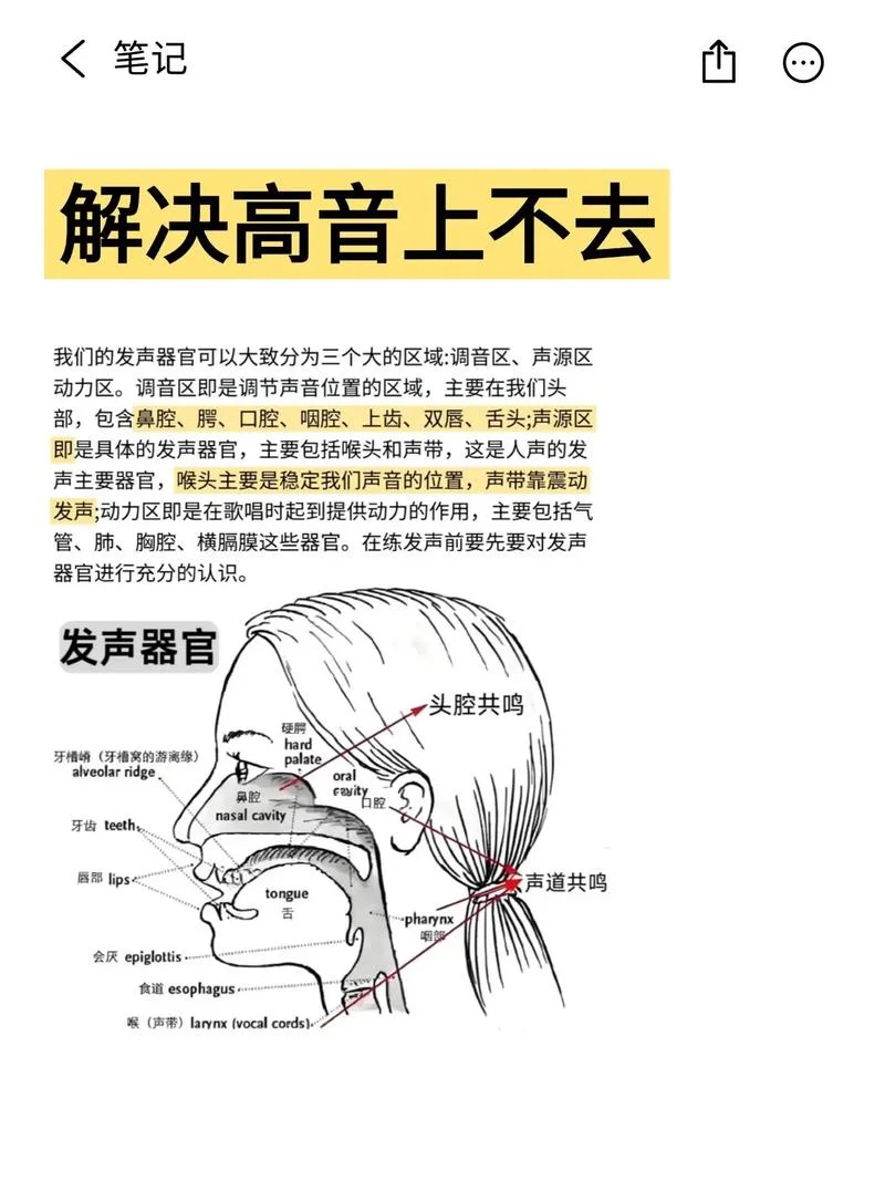 唱歌假声是什么意思_2
