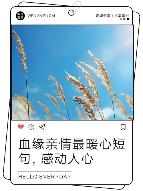 关于亲情的感悟句子_2