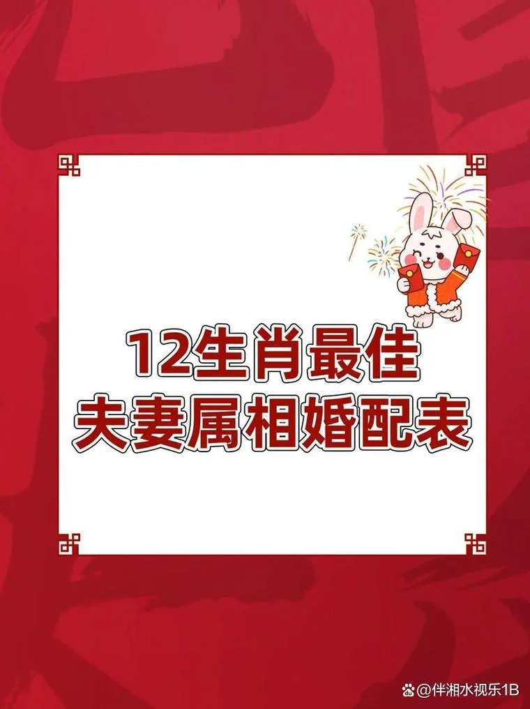 鸡和鸡的属相合吗_2