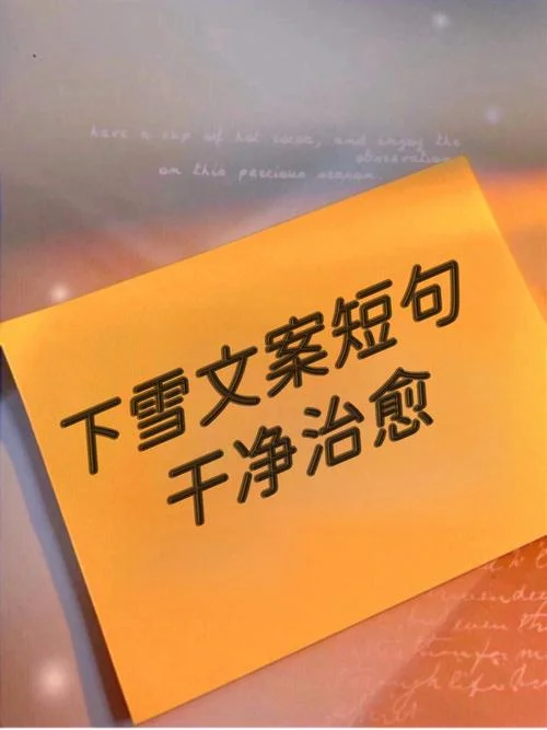 2018年下雪文案_2