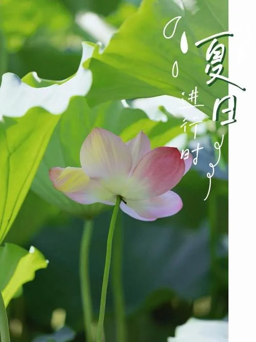 几月开始就是夏天_1
