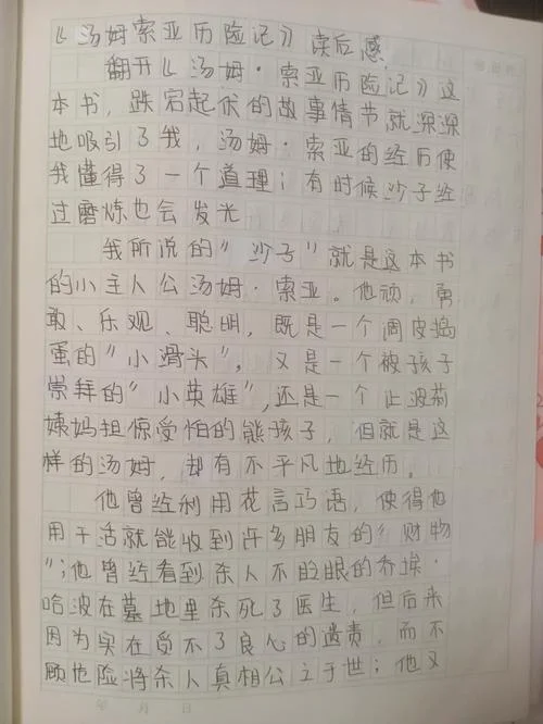 汤姆索亚历险记阅读感悟50字_1