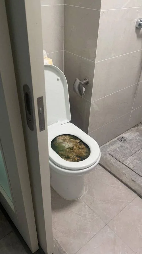 梦见厕所大便多很脏-梦厕便多脏