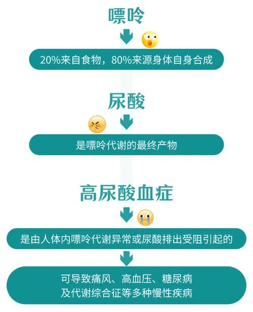 如何查尿酸代谢量_2
