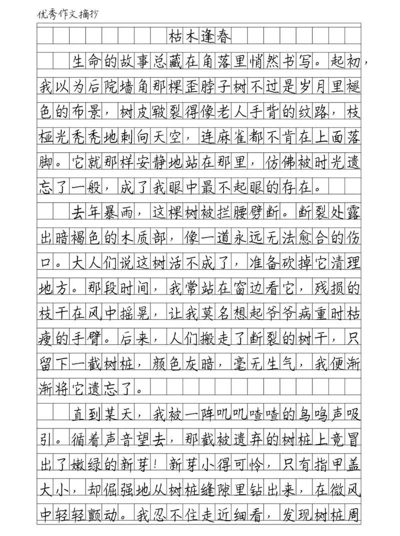 怎样写作文更优美-作文更优美技巧