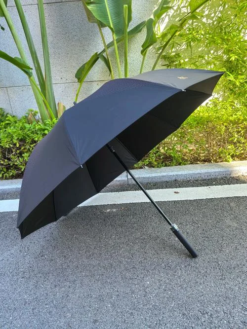 雨伞是什么意思_2