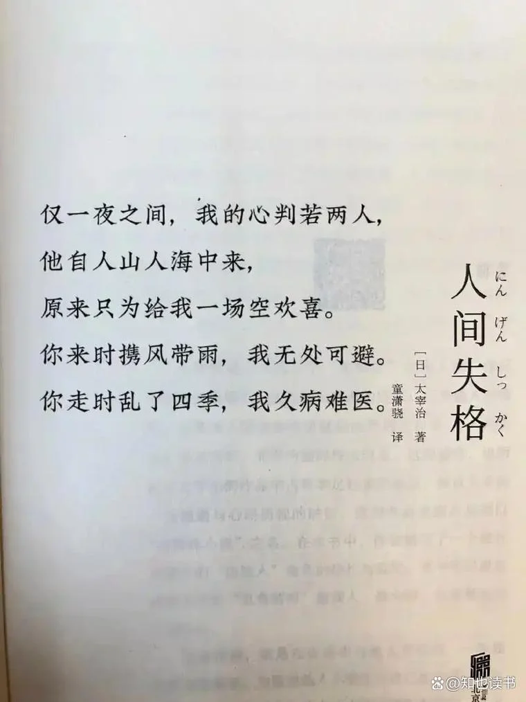 生而为人我很抱歉出自_2