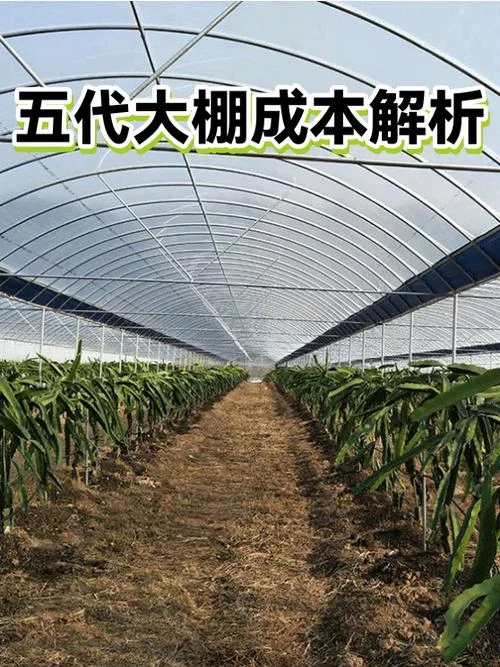 钢架大棚多少一平方_1