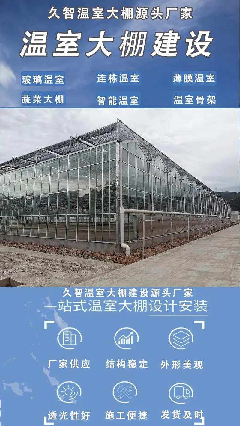 一亩种菜大棚多少钱_1