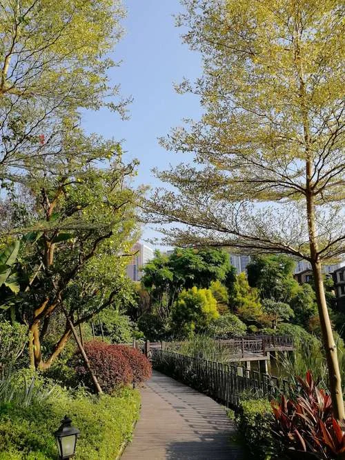 南香木丽是哪里景点-南香木丽景点位置