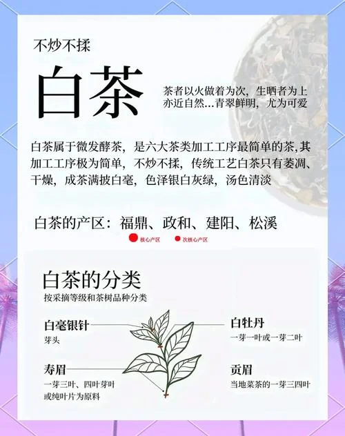 什么是白茶和黑茶_1