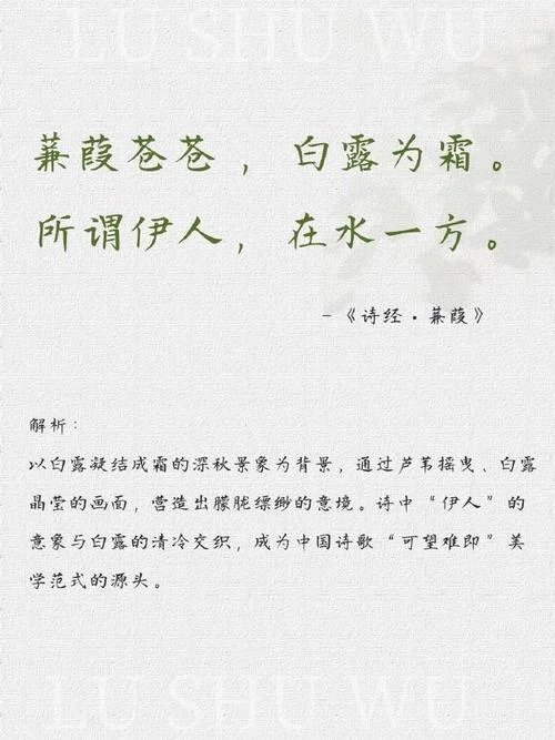 关于白露的文案_1