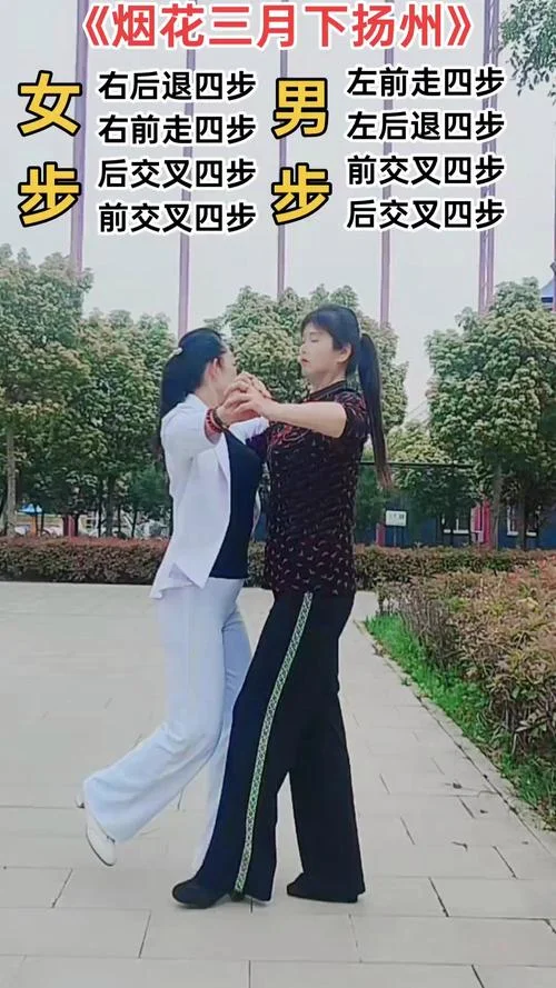 学四步舞怎么跳视频_2