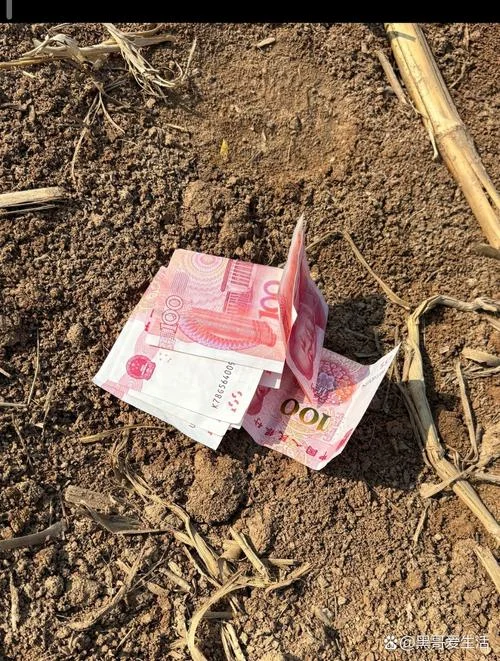 做梦捡到钱-梦遇拾财