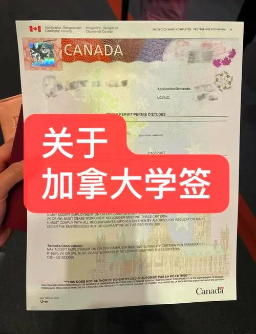 大学生加拿大留学条件_1