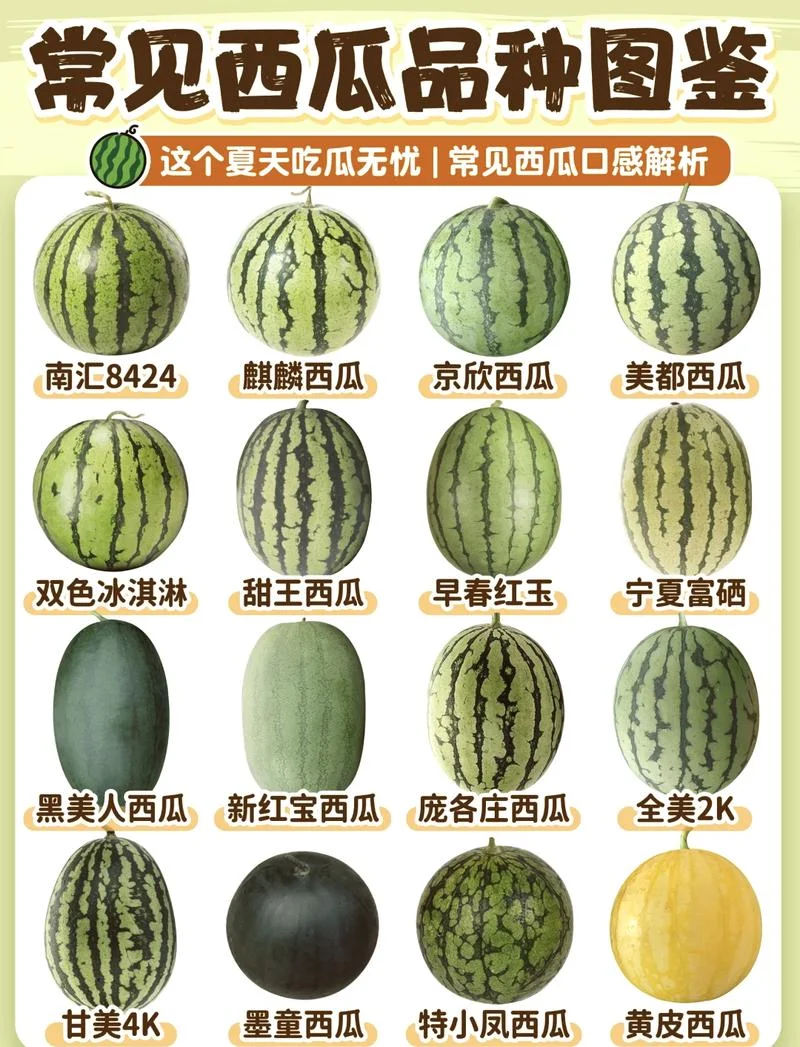 一亩地西瓜能产多少斤_2