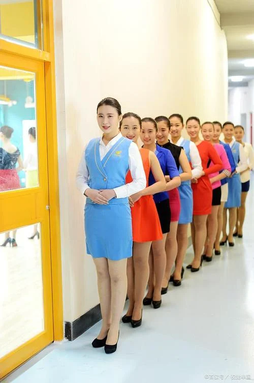 空乘艺考都有哪些学校_2
