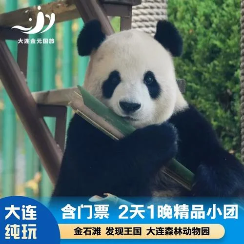 两日游跟团游推荐_1