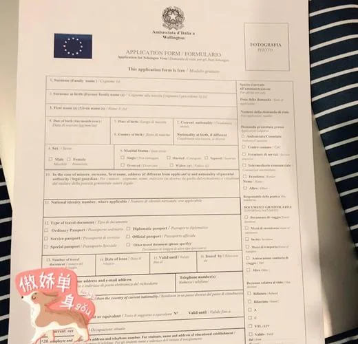 意大利留学签证最低-意大利留学签证最低要求