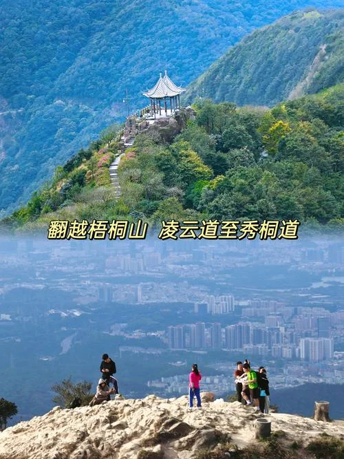 梧桐山简介-梧桐山简介