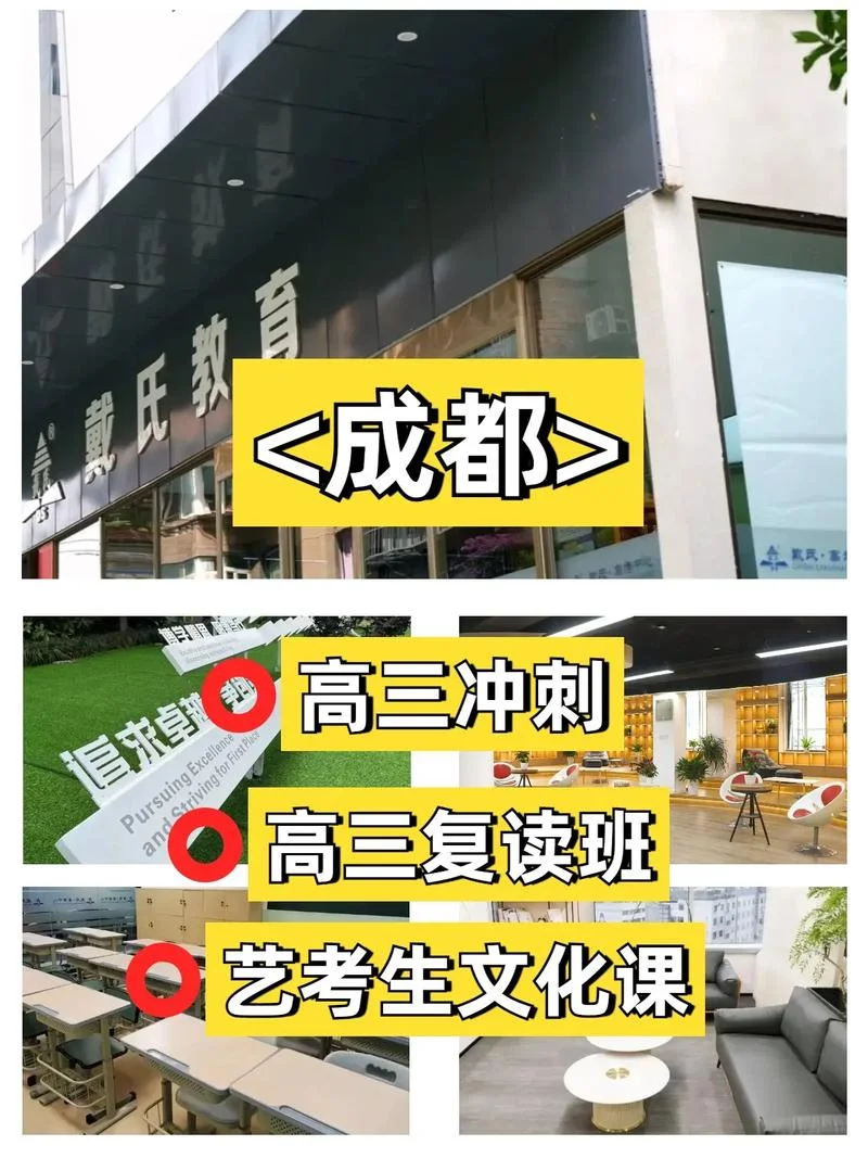戴氏艺考文化课培训_1