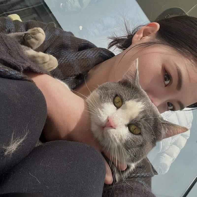 梦见抱着小猫咪很可爱_1