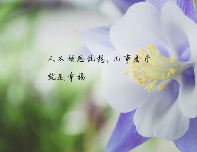 如若我在你心上下一句_2