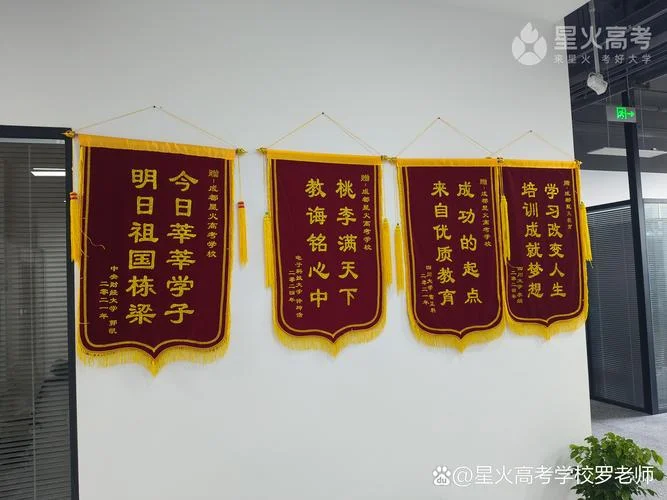 成都艺考培训咨询_1