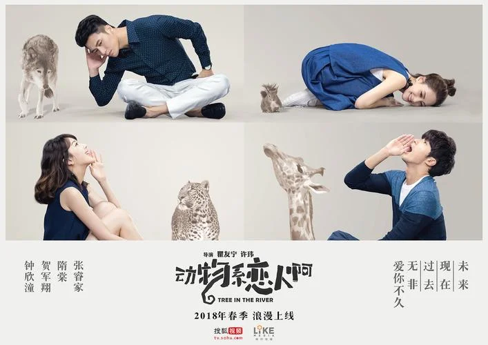 动物系恋人啊剧情梗概-动物系恋人剧情梗概