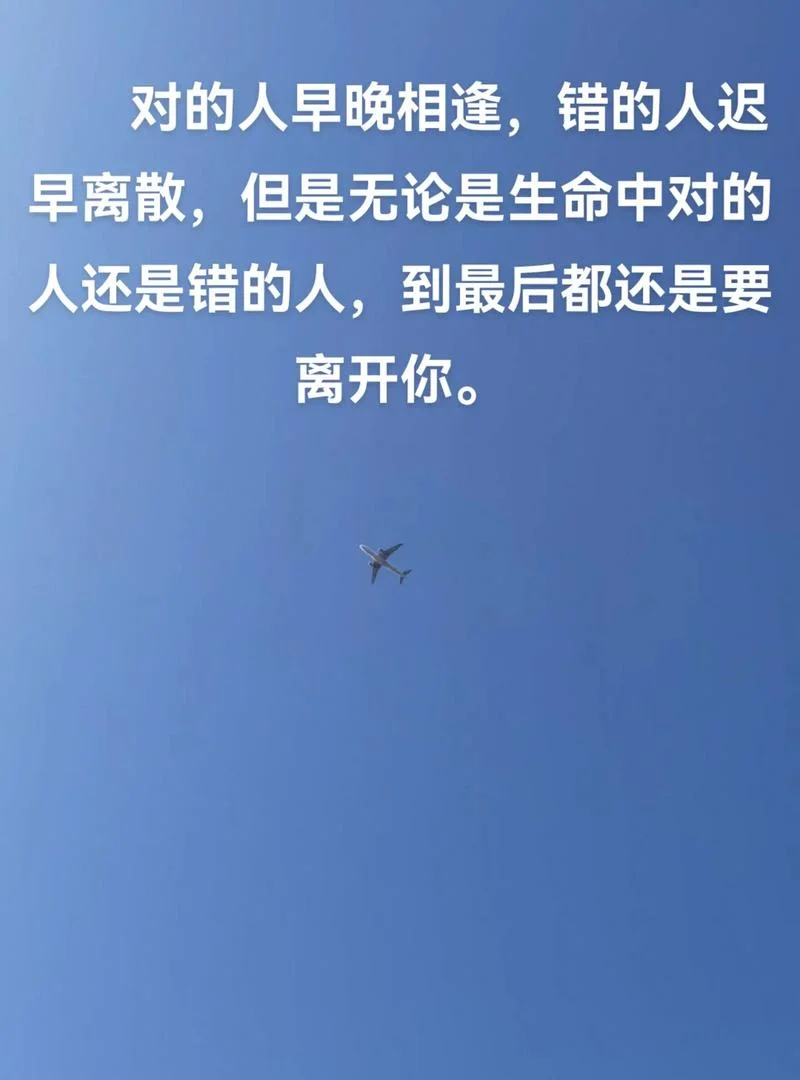 人生而孤独出自哪里_1
