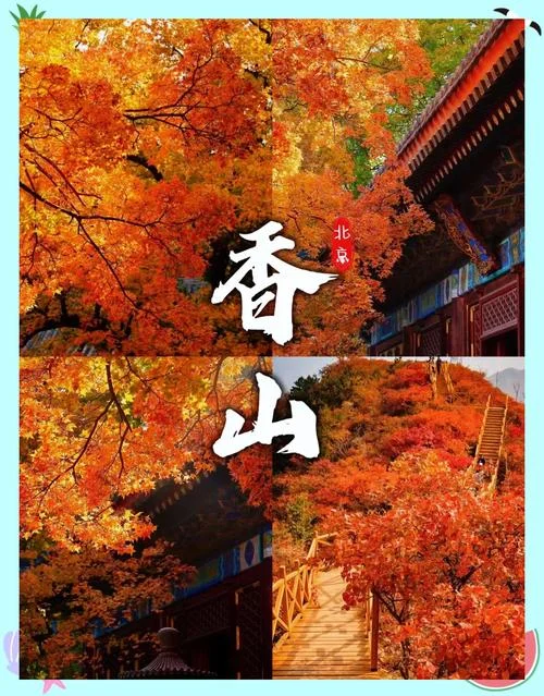 香山红叶几月份最红-九月份香山红叶最红