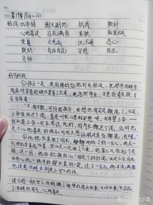汤姆索亚历险记感悟200字_2