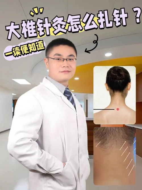 考研针灸视频百度云-考研针灸视频网盘