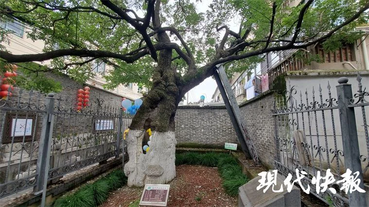 南柯一梦出自哪里_1