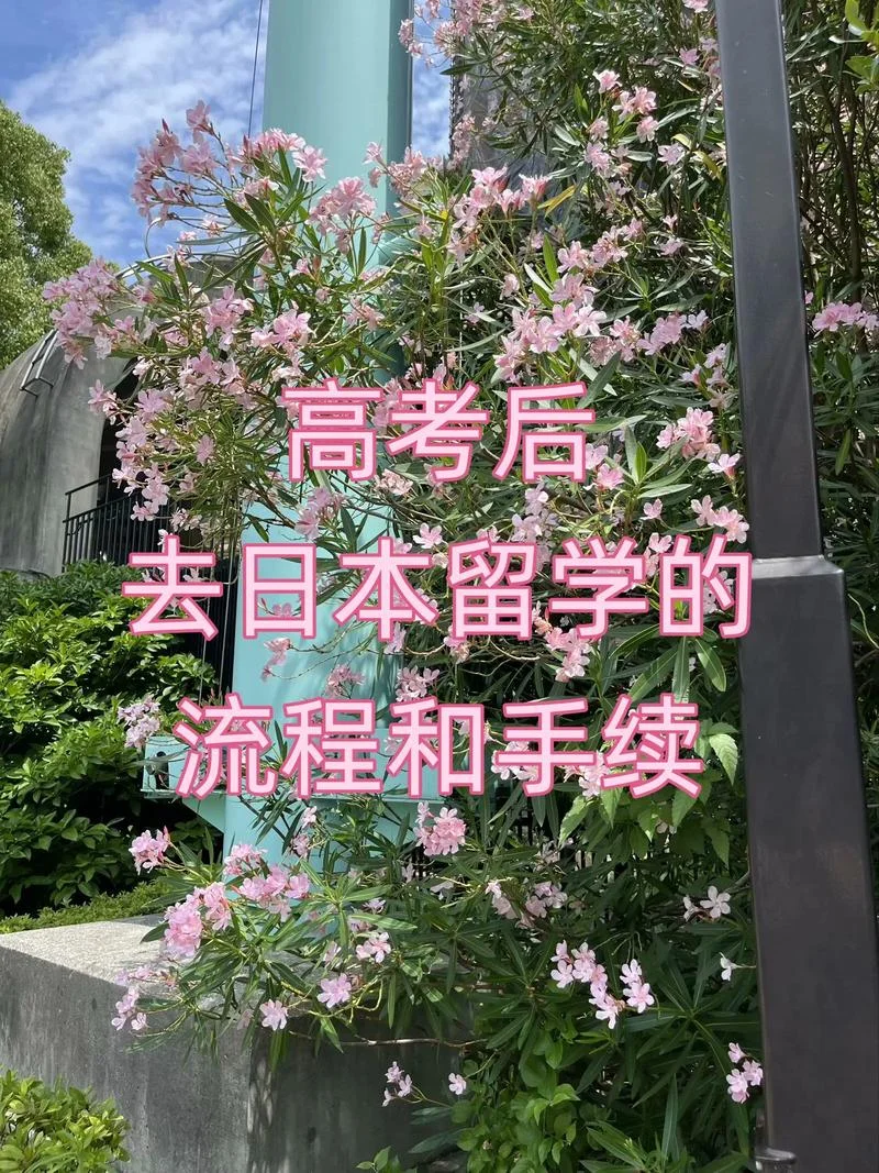 常州报名日本留学_1
