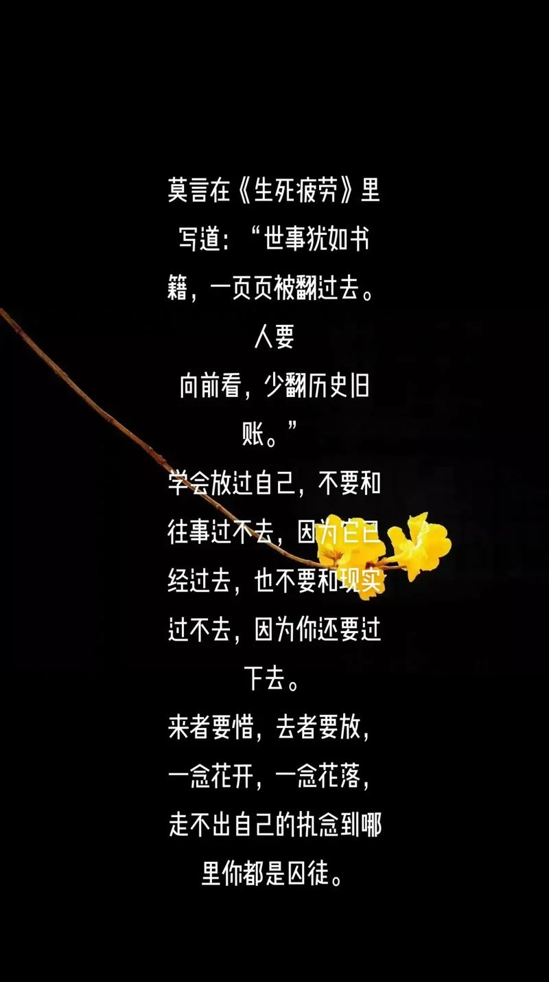 不曾苟且感悟_2