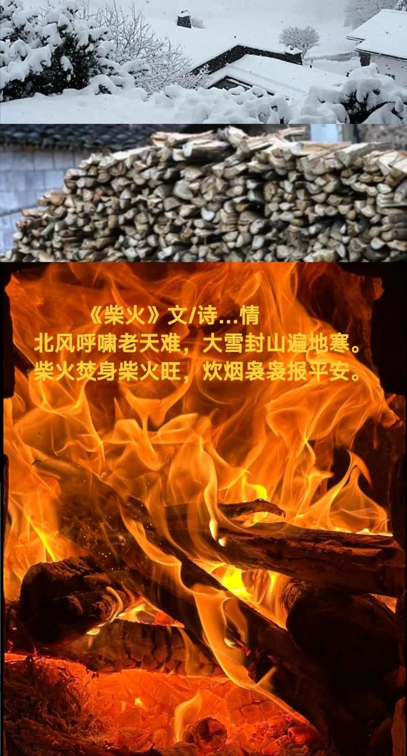 森林里生火下一句_2