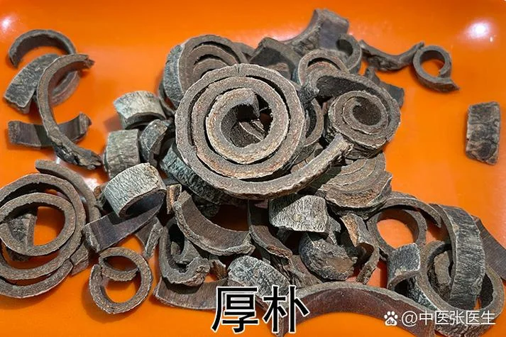厚朴温中汤出处_2