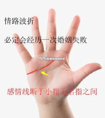 如何看手相男生爱情_1
