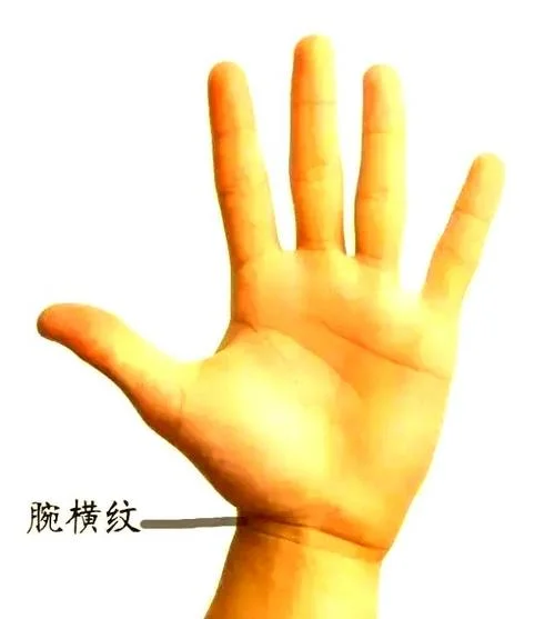 一横看手相-看手相的笔法