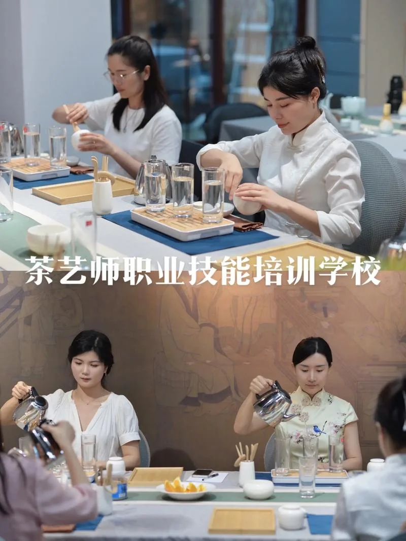 茶艺师证书去哪里学-茶艺师学习地点