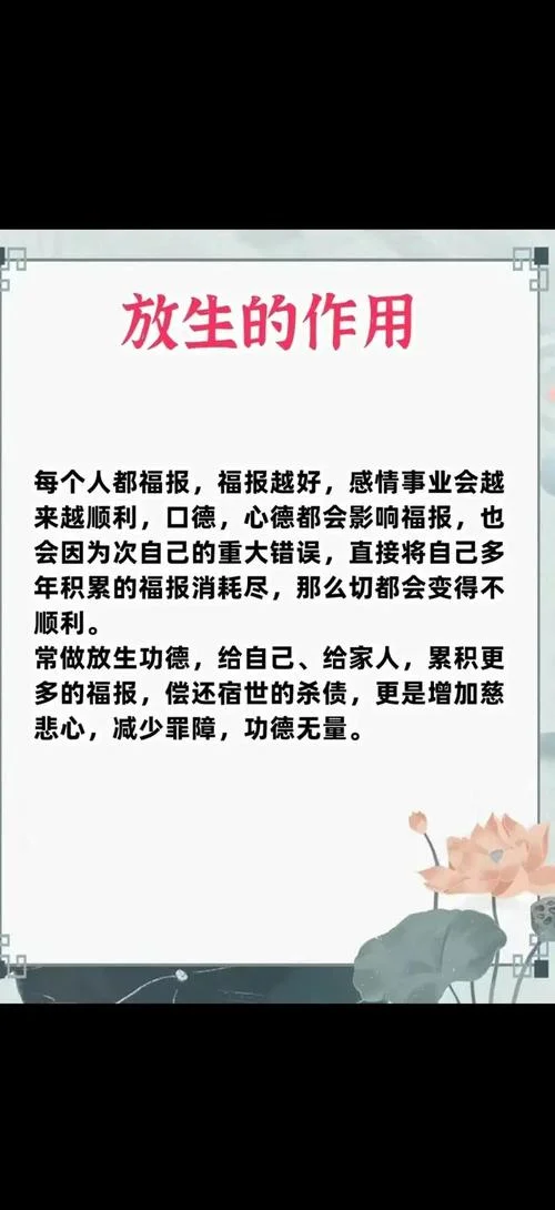 放生功德殊胜行下一句_2