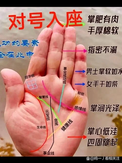 太阴丘有田字纹手相-太阴丘田字纹手相特征