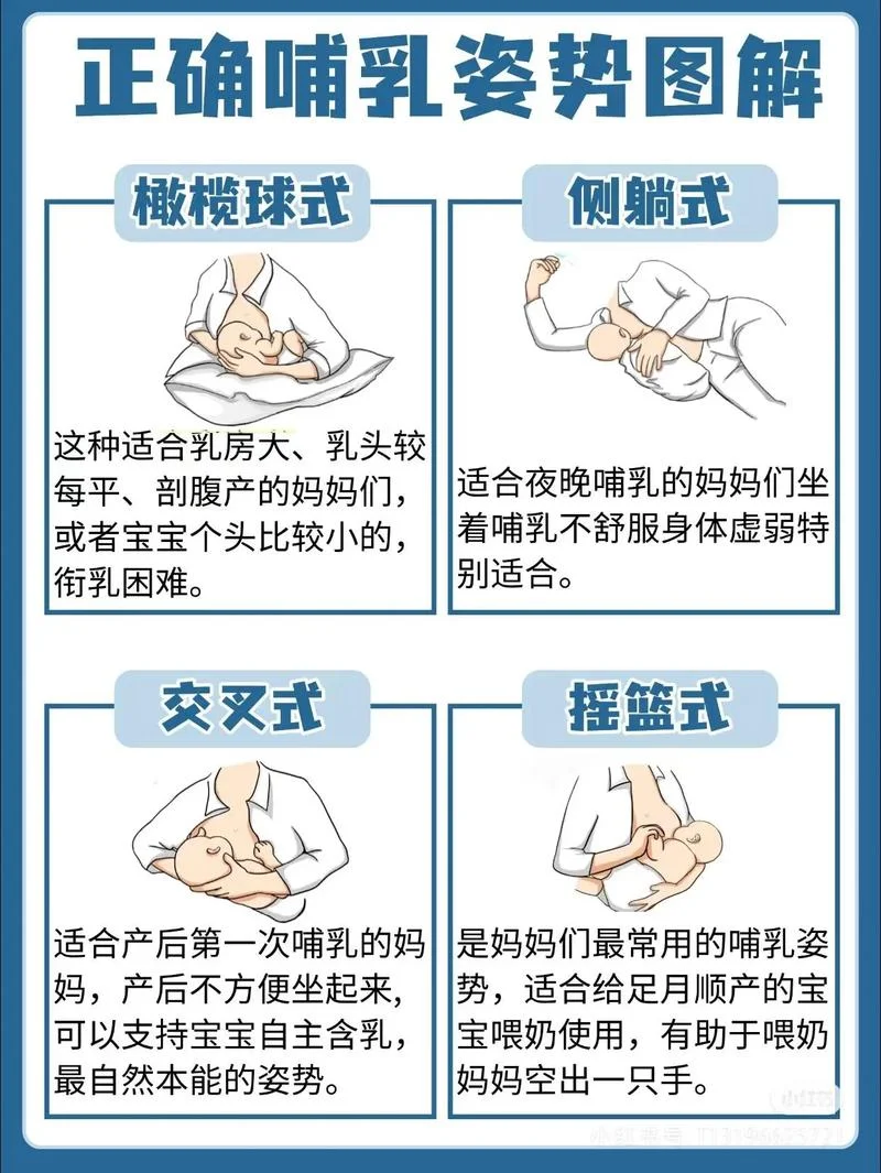 乳腺产奶原理_1