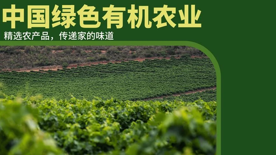 绿色有机农业认证_1
